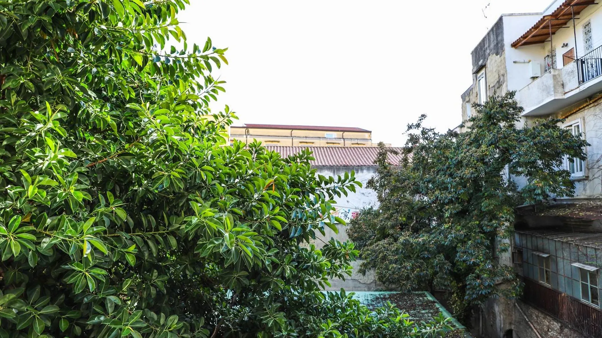 Appartamento Le Scalette A Santa Chiara Napoli